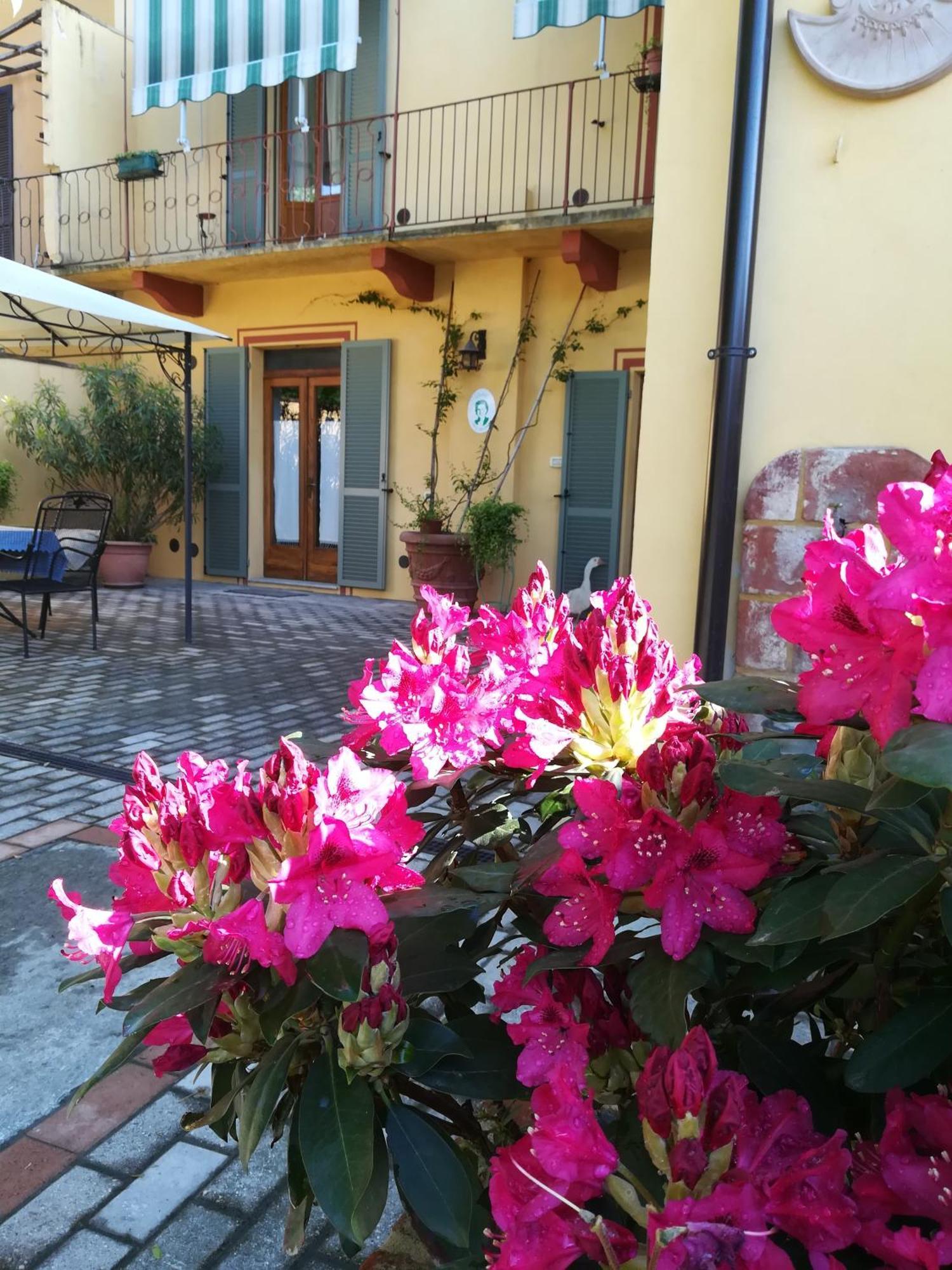 L'Adele Bed & Breakfast Occimiano エクステリア 写真