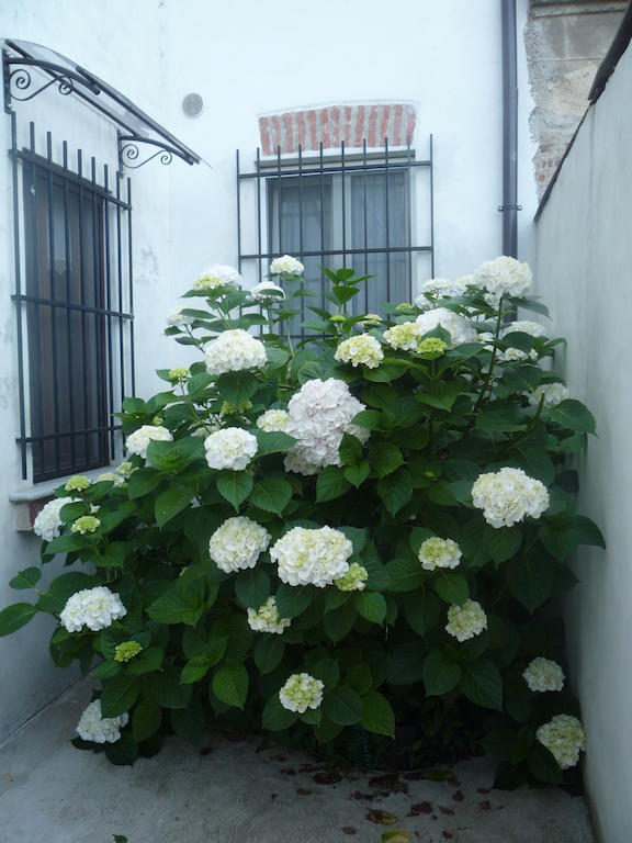 L'Adele Bed & Breakfast Occimiano エクステリア 写真