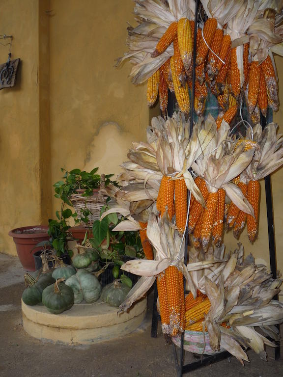 L'Adele Bed & Breakfast Occimiano エクステリア 写真