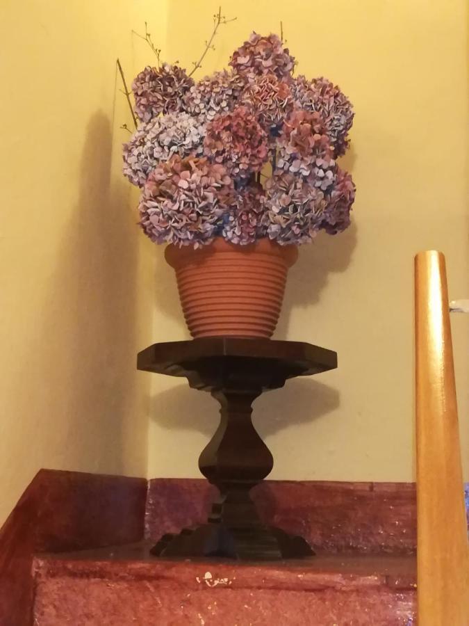 L'Adele Bed & Breakfast Occimiano エクステリア 写真